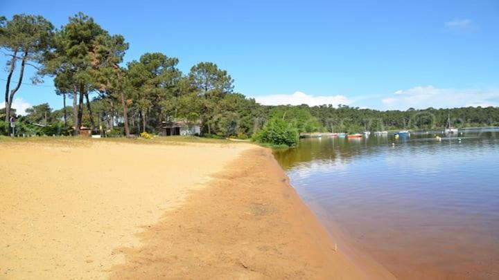 Maison Sur Golf Avec Piscine Chauffee A Lacanau Ocean エクステリア 写真